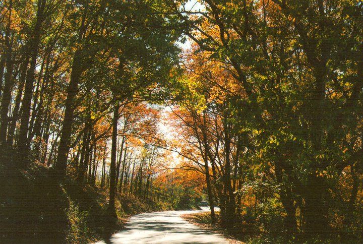 Fall in Pawtuckaway, NH